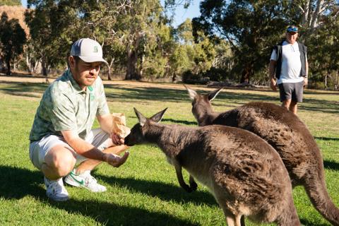 Adelaide 24: Louis Oosthuizen feeds kangaroos